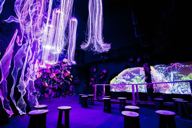 Avora: Immersive Cocktail Experience