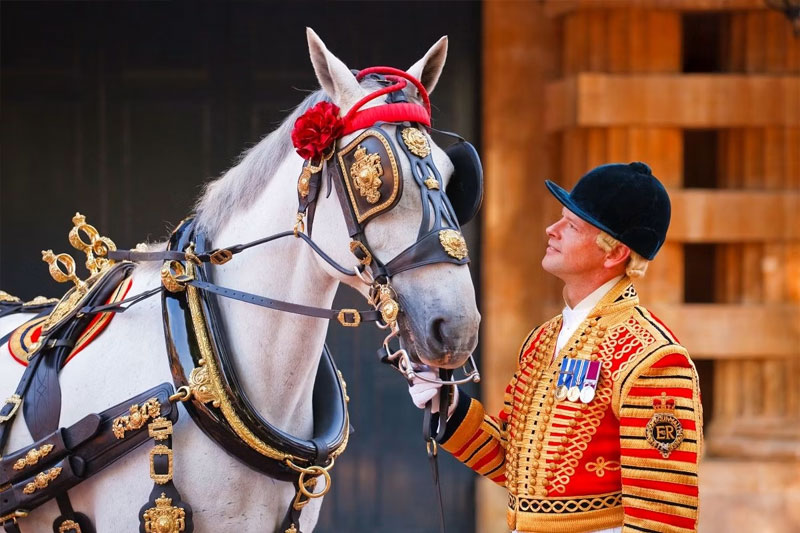 Royal Mews Buckingham Palace Visit with Harrods Afternoon Tea